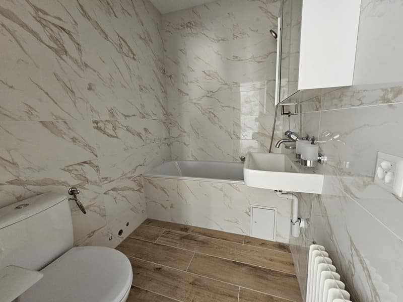 Beautiful renovated rental apartment (5)