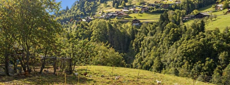 In vendita? Chalet da ristrutturare con grande potenziale di sviluppo a Troistorrents | CHF 390'000. (4)