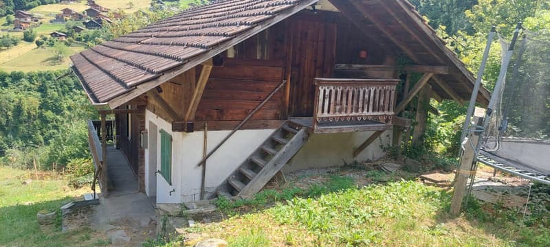 Chalet à rénover à vendre ? Troistorrents (1)