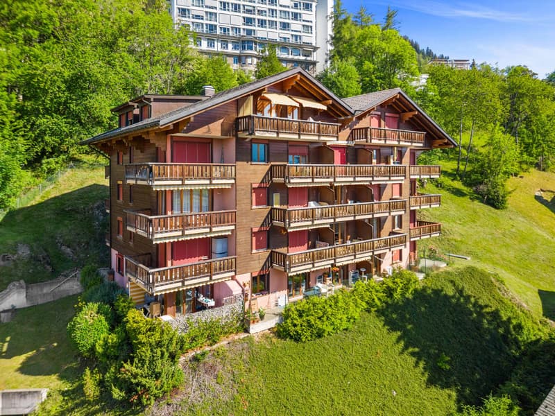 Schönes 2.5-Zimmer-Apartment mit Balkon (4)