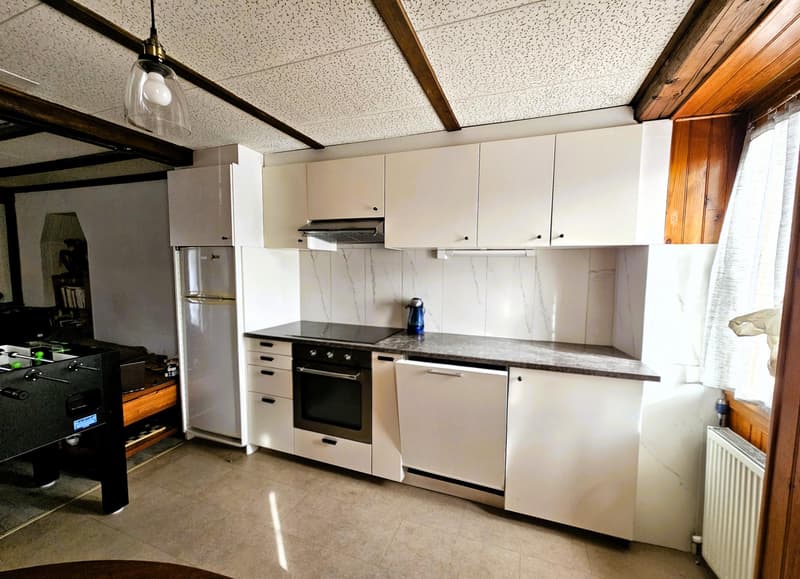 Magnifique appartement rénové (3)