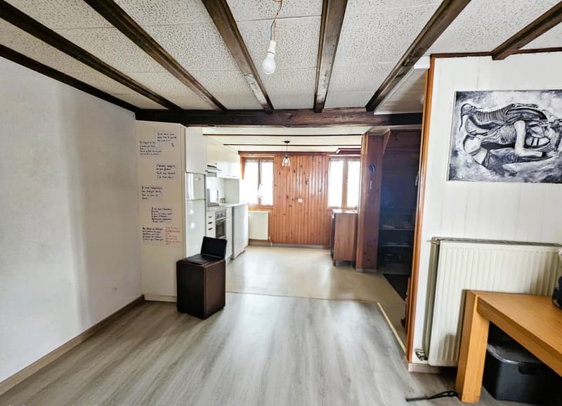 Magnifique appartement rénové (1)