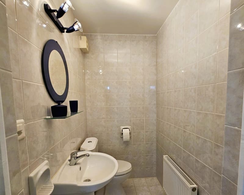 À LOUER ? Bel appartement 3,5 pièces, spacieux et lumineux (6)