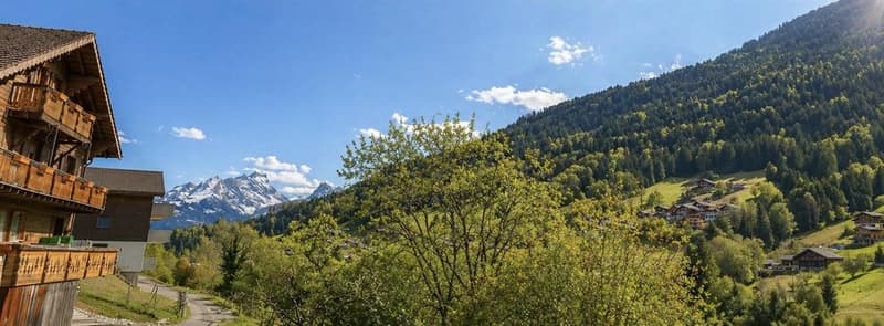 Chalet à rénover à vendre ? Troistorrents (7)