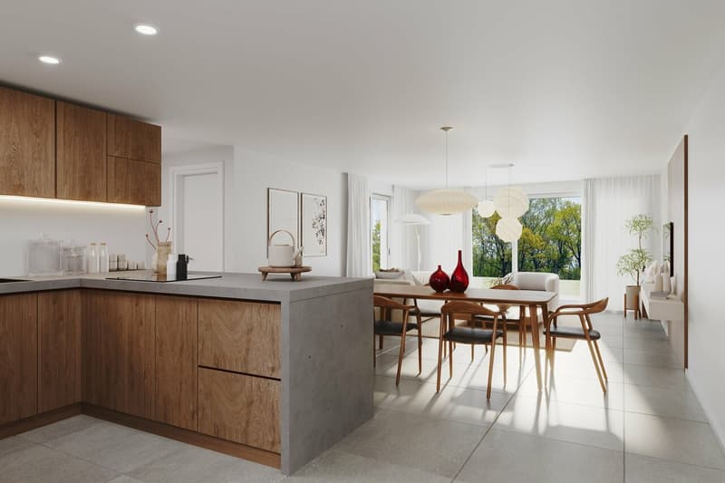 Appartement en terrasse de 5.5 pièces de 133 m2 avec terrasse de 61 m2 (4)