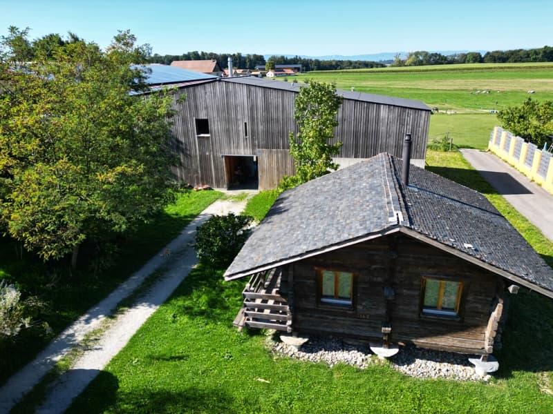 Casa dell'architetto, centro equestre su 4350m² di terreno con mazot (10)