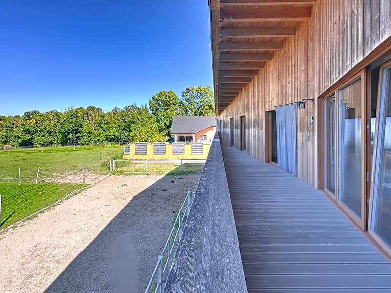 Casa dell'architetto, centro equestre su 4350m² di terreno con mazot (8)