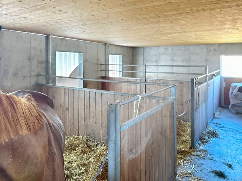 Casa dell'architetto, centro equestre su 4350m² di terreno con mazot (7)