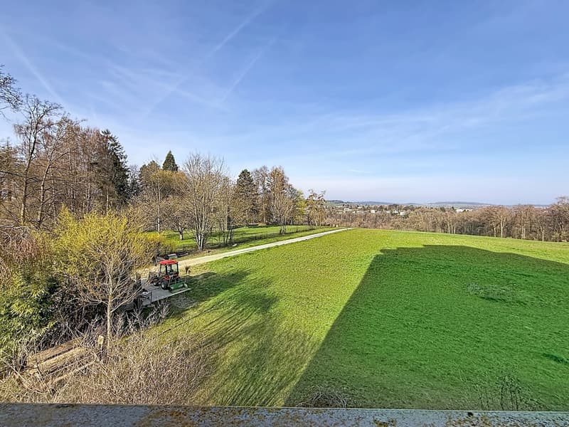 Appartamento 2.5 locali in vendita a Friburgo (8)