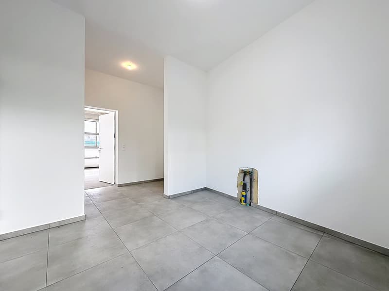 Local artisanal neuf avec atelier et bureau de plus de 90 m² (12)