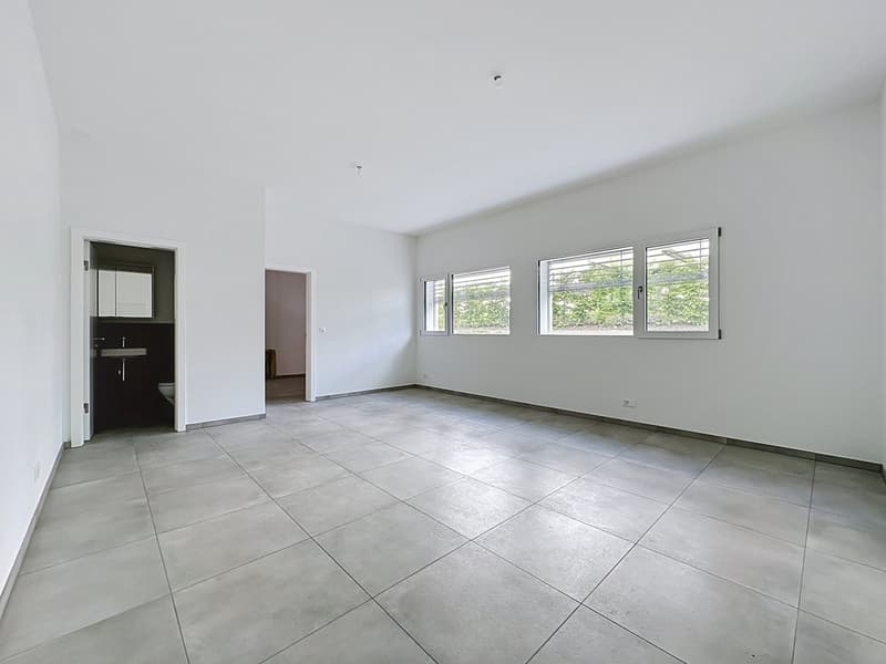Local artisanal neuf avec atelier et bureau de plus de 90 m² (11)