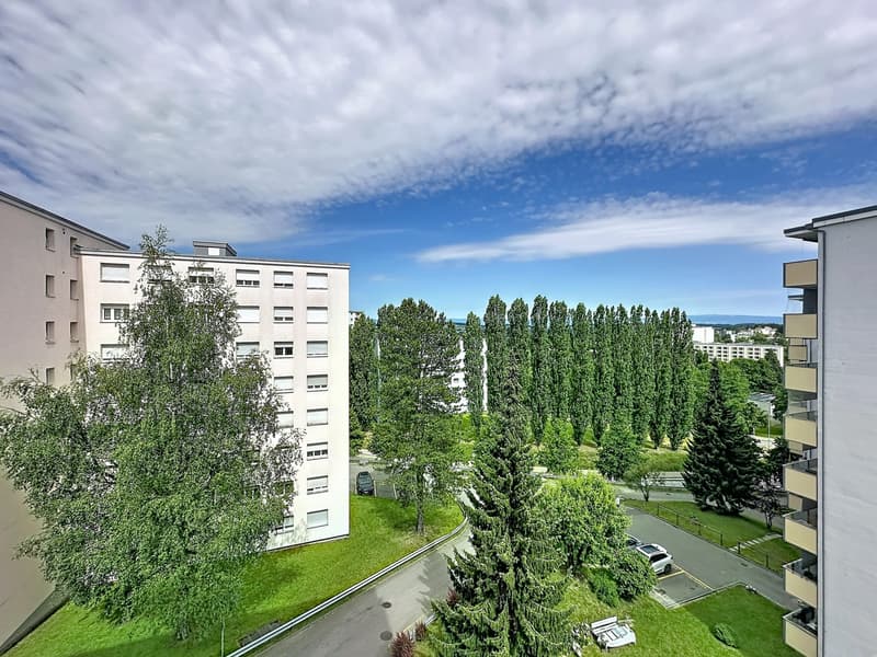 Appartement de 4.5 pièces de 82 m² à vendre à Fribourg (3)