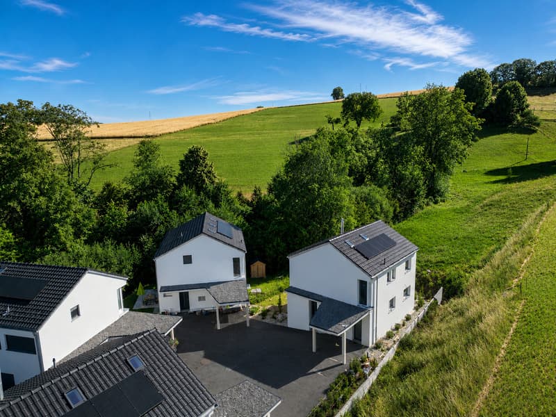 La luce come firma: villa individuale con 6.5 locali (1)