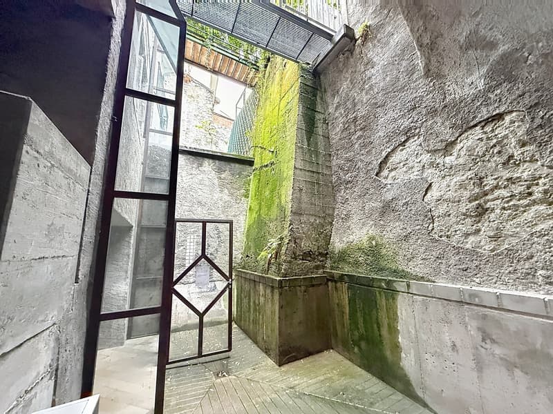 Appartement de 3.5 pièces au coeur de la Rue de Lausanne (9)