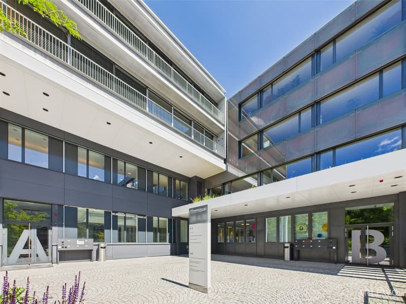 Spazio al piano terra rappresentativo nel popolare Alpenquai (6)