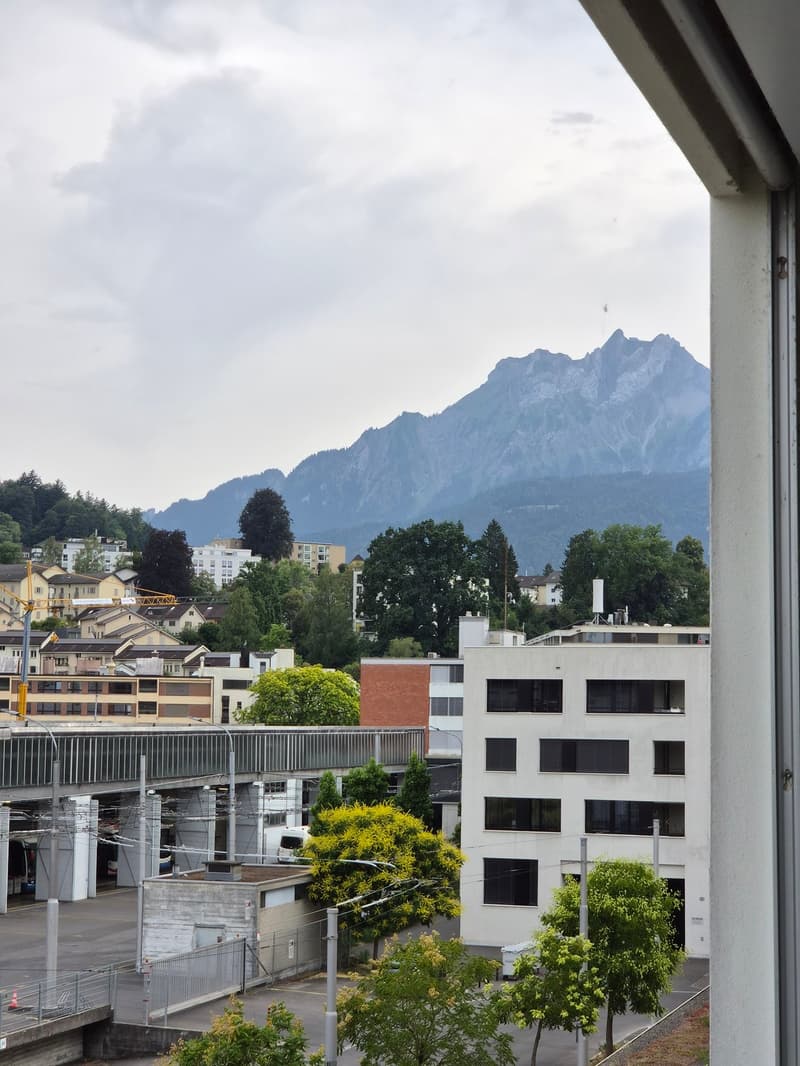 Modernes Wohnen im beliebten Tribschen-Quartier (7)