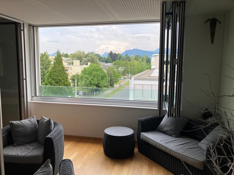 Modernes Wohnen im beliebten Tribschen-Quartier (1)