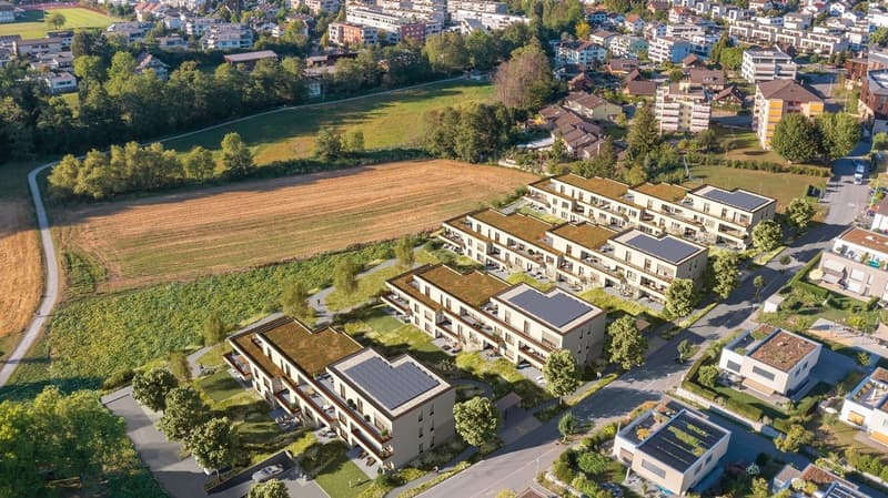 Attikawohnung bei Sursee – Rückzug über den Dächern (11)
