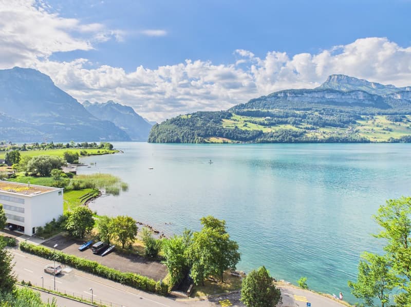 Logenplatz über dem Vierwaldstättersee (1)