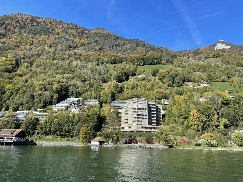 Panorama zum Geniessen (11)