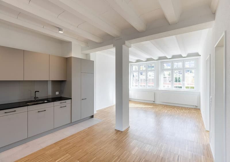Appartement en loft à occuper pour la première fois (4)