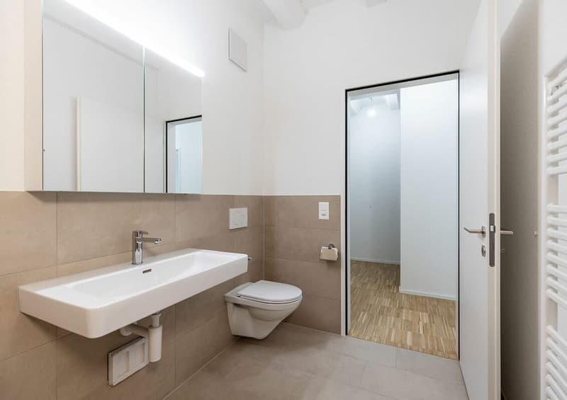 Appartement en loft à occuper pour la première fois (5)