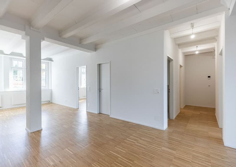 Appartement en loft à occuper pour la première fois (3)