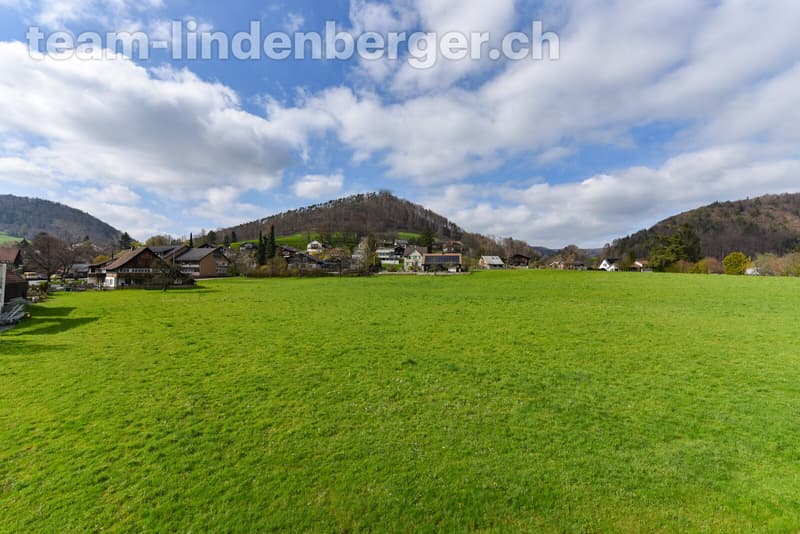 Aussicht vom Balkon