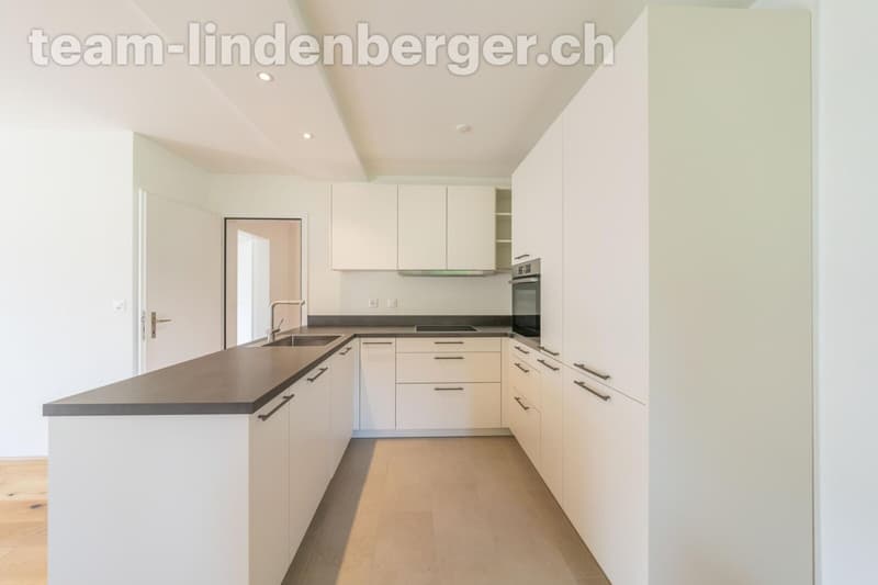 Moderne Küche