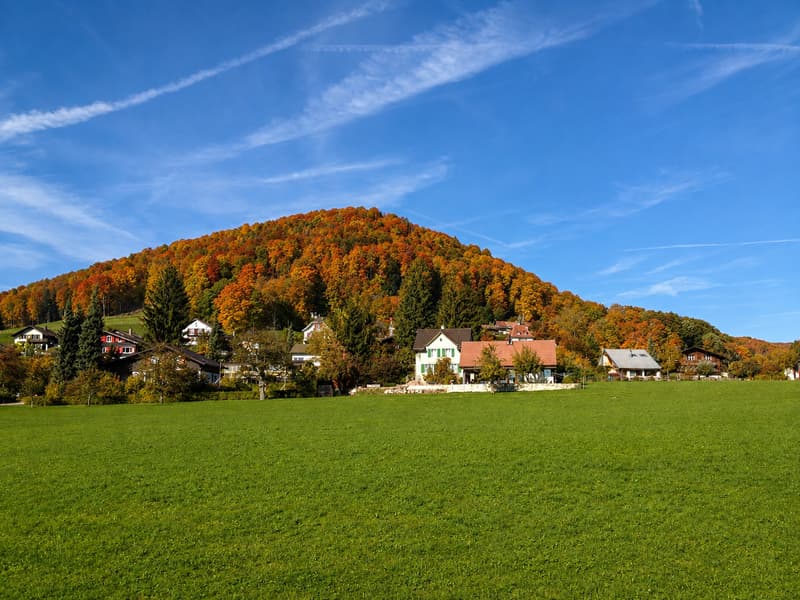 3½ Zi.-Maisonettewohnung im EG und 1.OG mit Balkon inkl. Garage und Aussenparkplatz (11)
