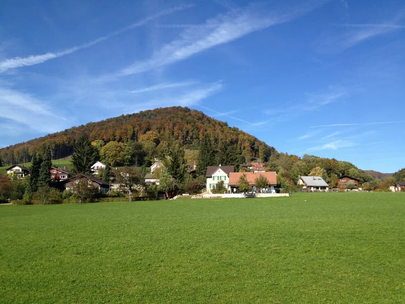3½ Zi.-Maisonettewohnung im EG und 1.OG mit Balkon inkl. Garage und Aussenparkplatz (9)