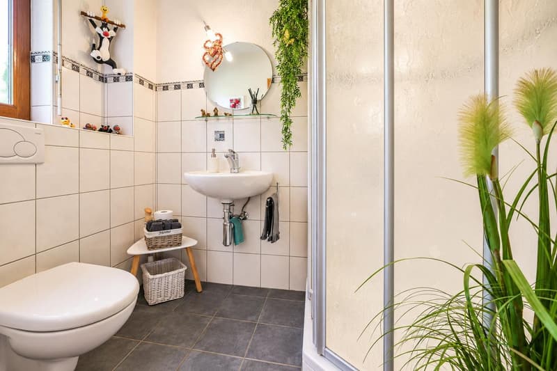 Freistehendes 5½ Zi.-Einfamilienhaus mit Garten in Metzerlen (12)