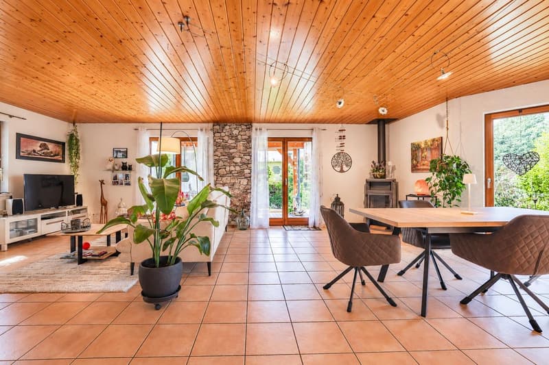 Freistehendes 5½ Zi.-Einfamilienhaus mit Garten in Metzerlen (9)