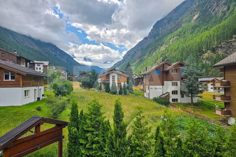 Mountain village, wooden houses, green grass, trees, mountains in the background