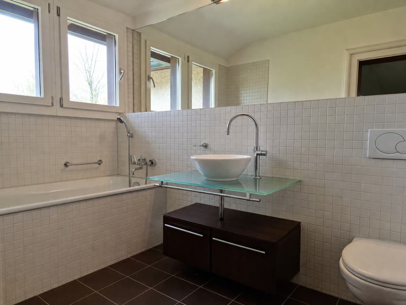 205 m² rêve de maison dans l'ancienne villa Bally (6)