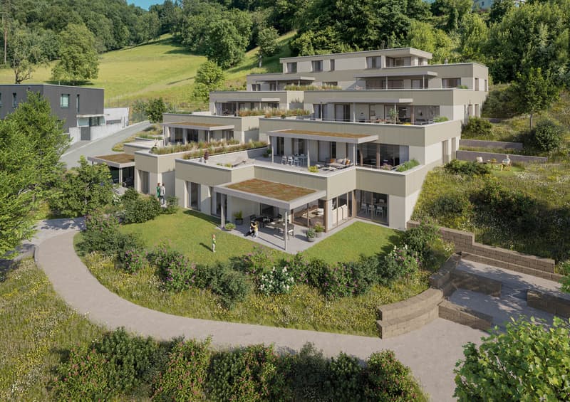 9 individuelle und grosszügige Terrassenwohnungen