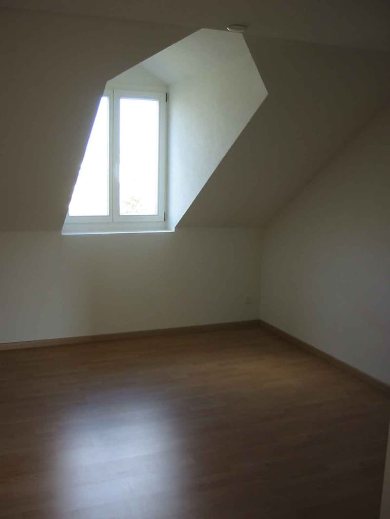 3 Zimmer-Dachwohnung mit Dachterrasse - an zentraler Lage (3)