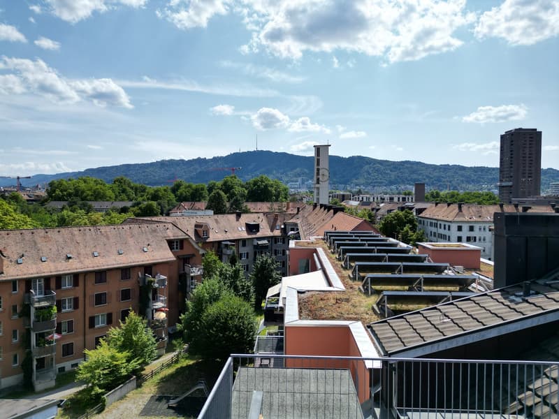 3 Zimmer-Dachwohnung mit Dachterrasse - an zentraler Lage (8)