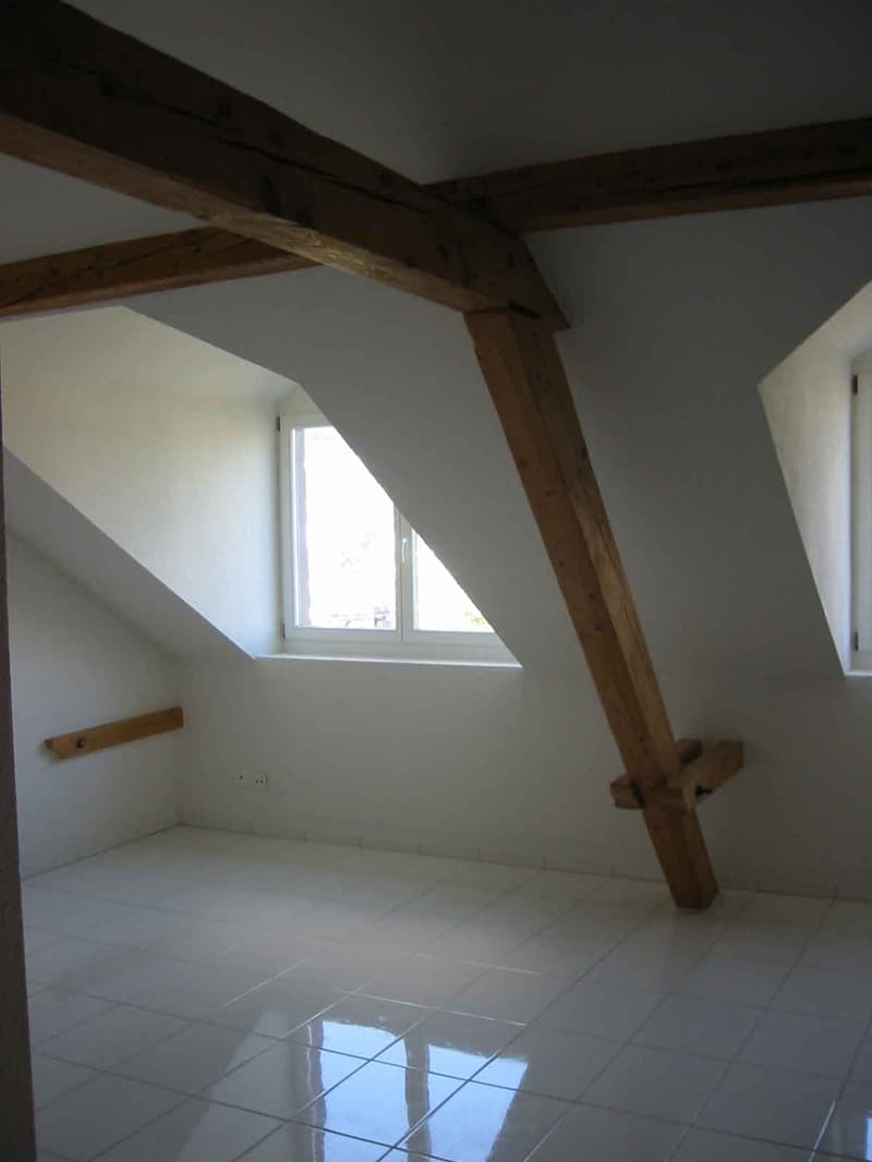 3 Zimmer-Dachwohnung mit Dachterrasse - an zentraler Lage (2)