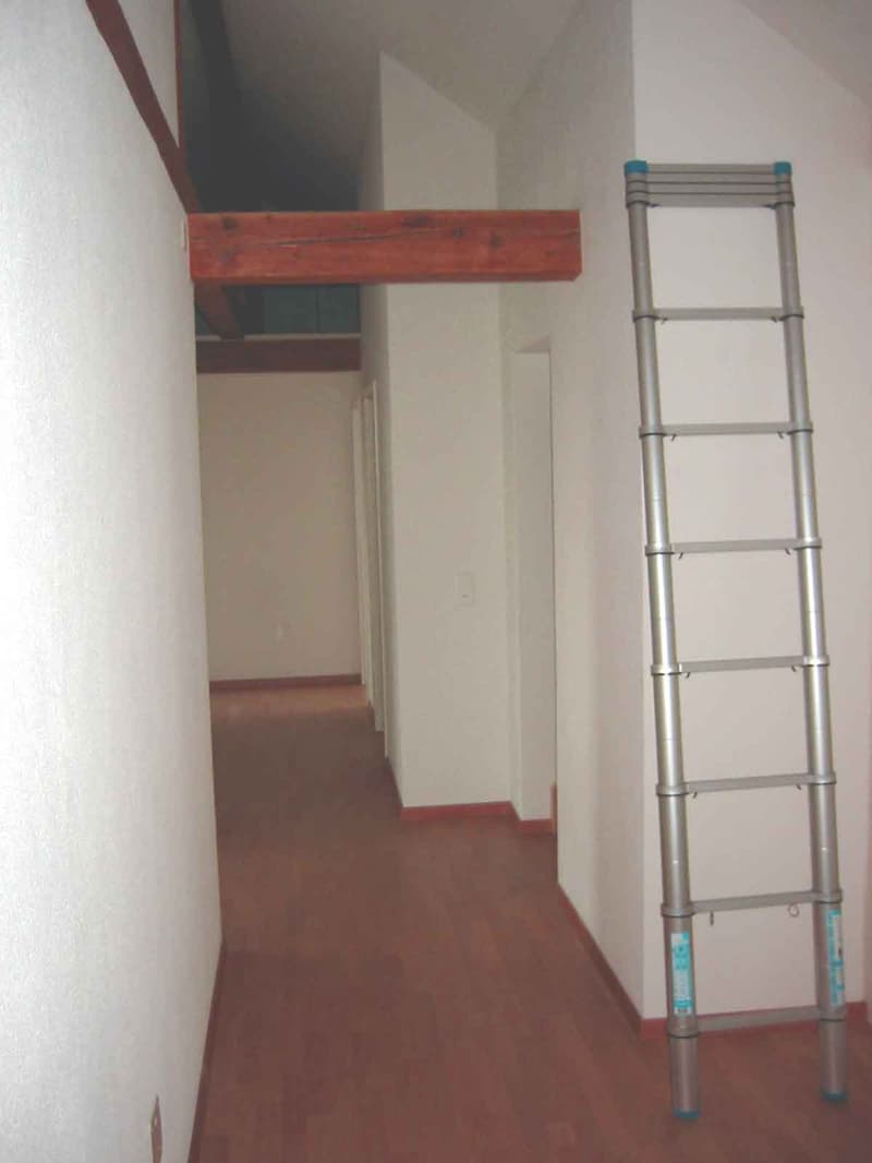 3 Zimmer-Dachwohnung mit Dachterrasse - an zentraler Lage (5)