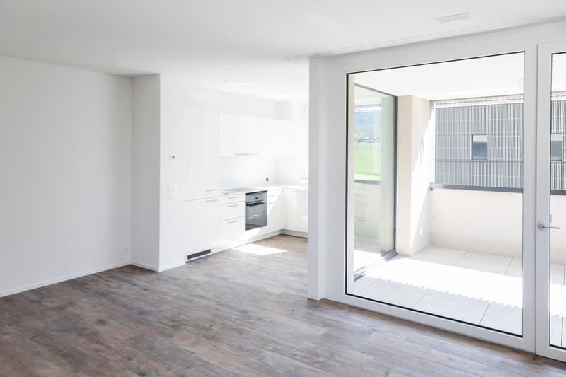 Beautiful modern apartment (2)
