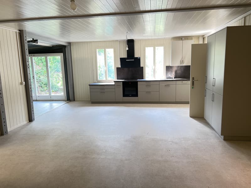 Küche, Essplatz, Wohnzimmer