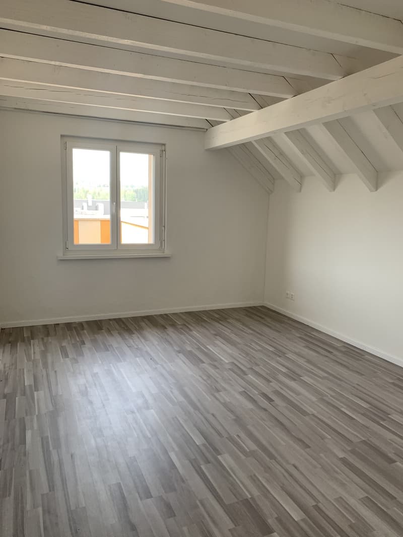 Appartamento mansardato moderno di 3 locali con stufa svedese (6)