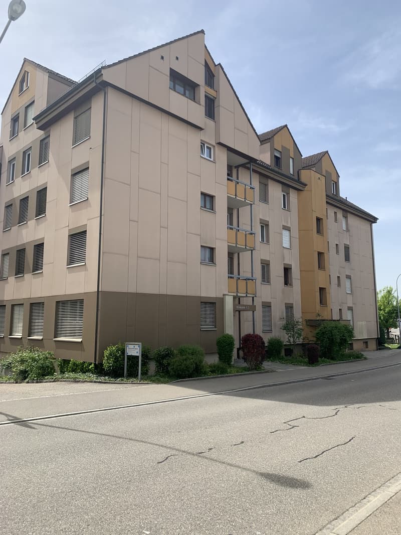 Appartamento mansardato moderno di 3 locali con stufa svedese (7)