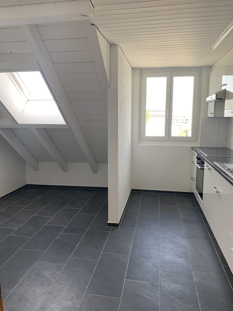 Appartamento mansardato moderno di 3 locali con stufa svedese (5)