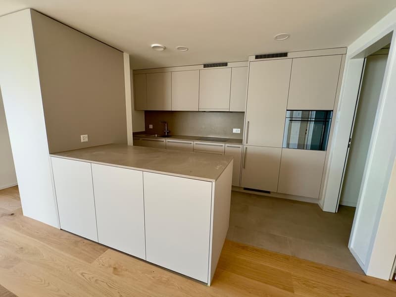 3,5-Zimmer-Attikawohnung mit grosser Terrasse (3)