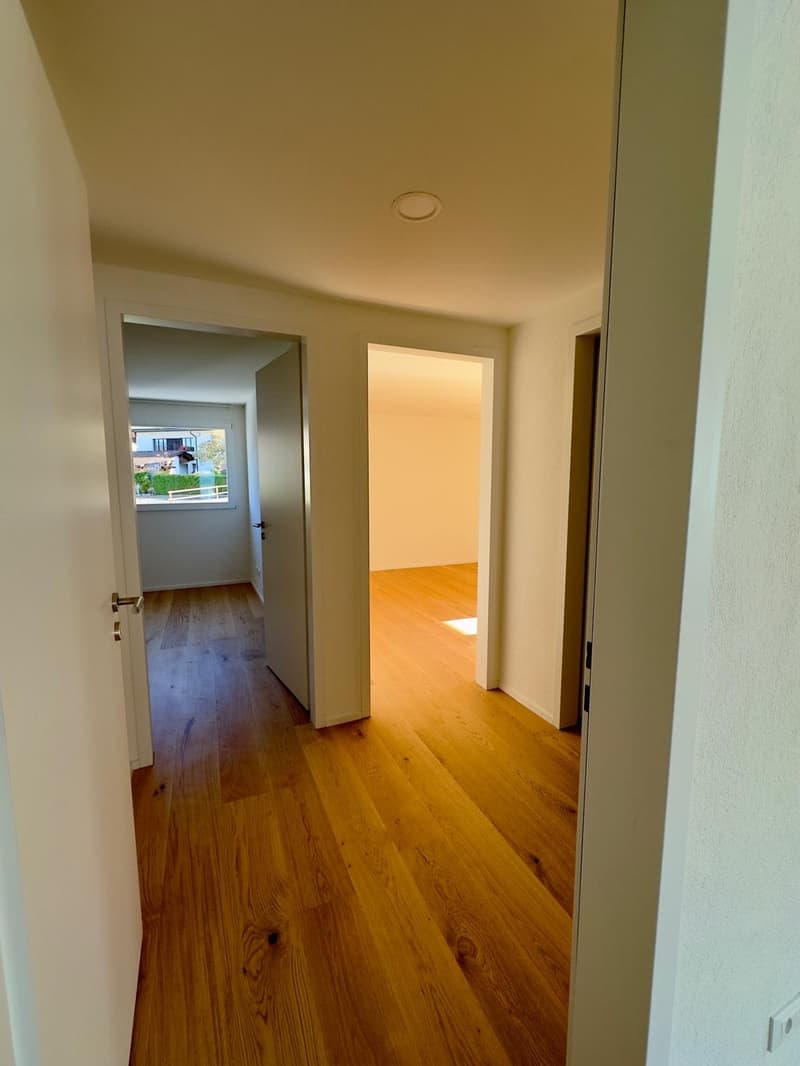 3,5-Zimmer-Attikawohnung mit grosser Terrasse (4)