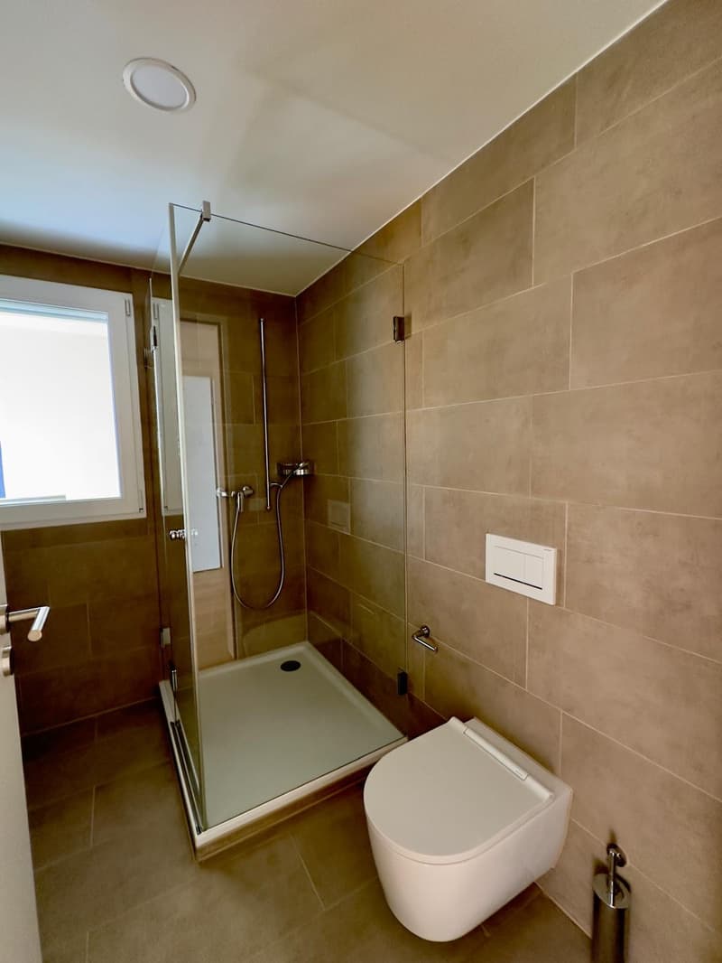 3,5-Zimmer-Attikawohnung mit grosser Terrasse (7)