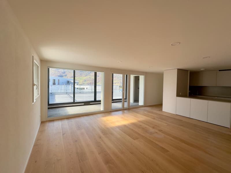 3,5-Zimmer-Attikawohnung mit grosser Terrasse (2)
