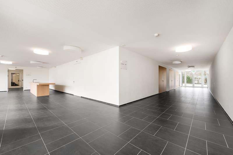 Representative commercial space on the ground floor 376 m² with its own entrance (3)